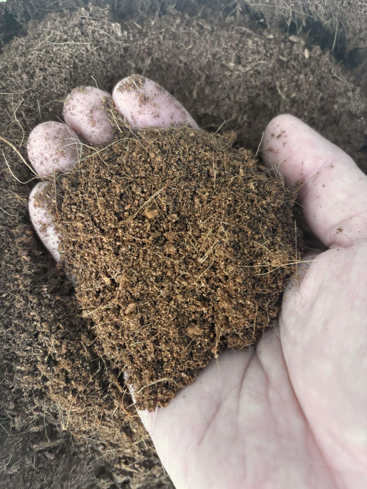 Amazon | ココピート 圧縮梱包 25kg 復元約200L アク抜き済 ココチップ